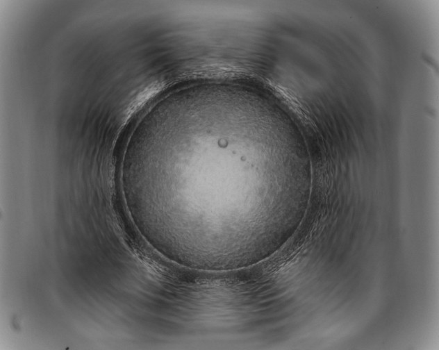 X0000096680679200802191353
