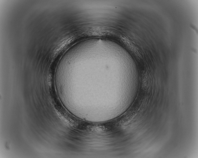 X0000096680683200802191353