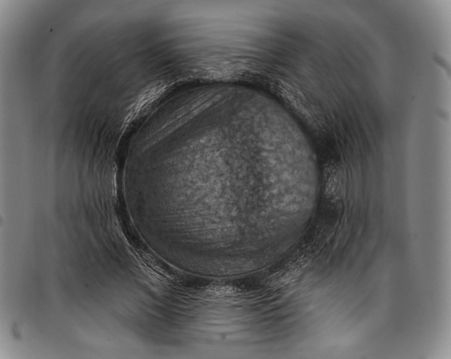 X0000096680685200802191353