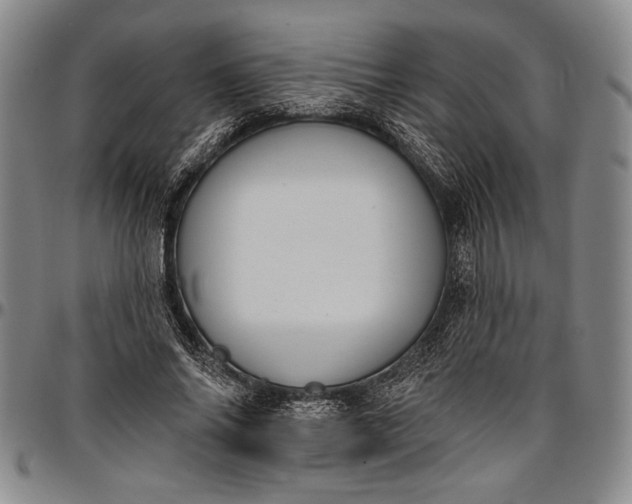 X0000096680686200802191353