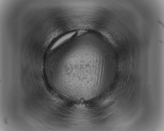 X0000096680687200802191353