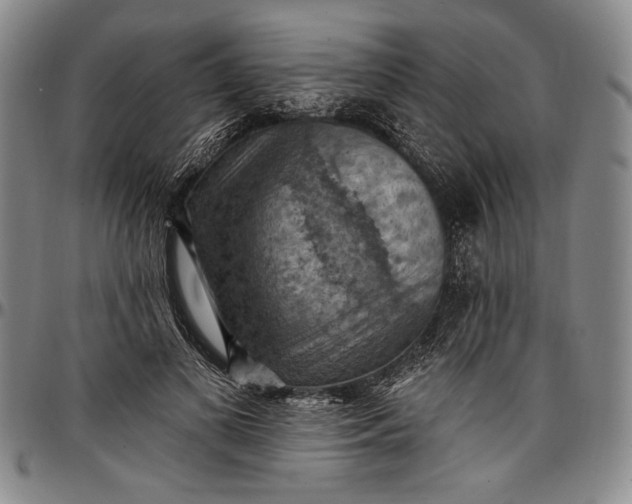 X0000096680693200802191353