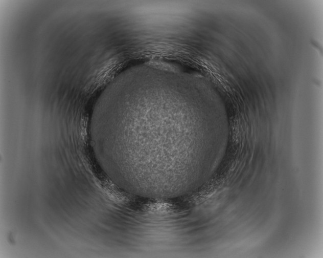 X0000096680695200802191353