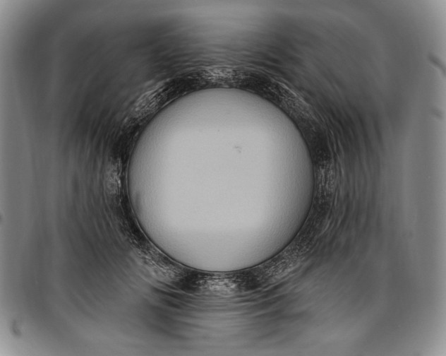 X0000096680702200802191352