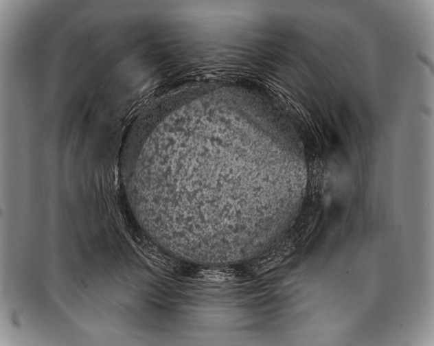X0000096680703200802191352