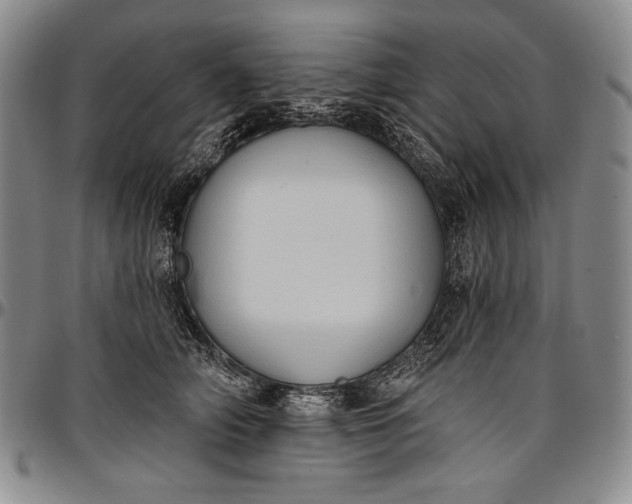 X0000096680706200802191352