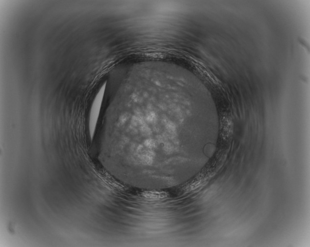 X0000096680707200802191352