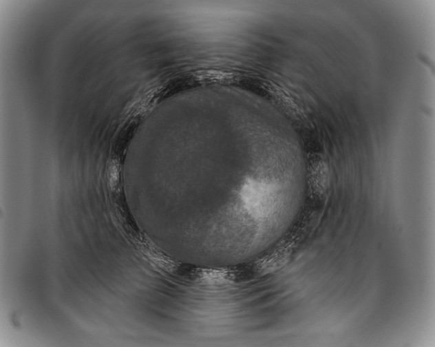 X0000096680709200802191352
