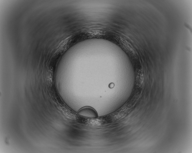 X0000096680710200802191352