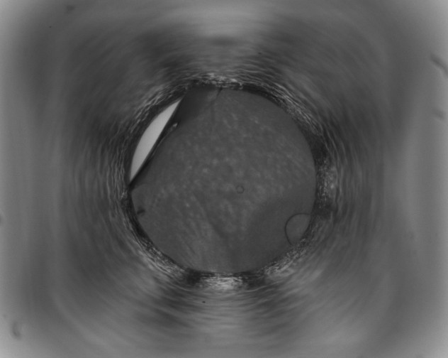 X0000096680711200802191352