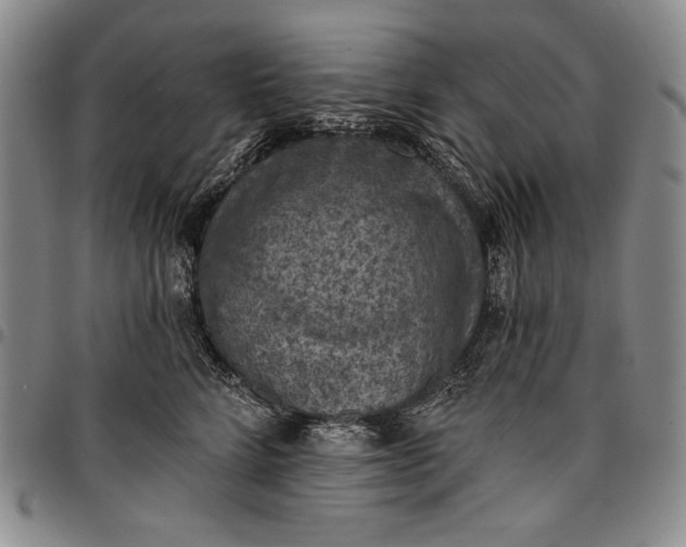 X0000096680712200802191352