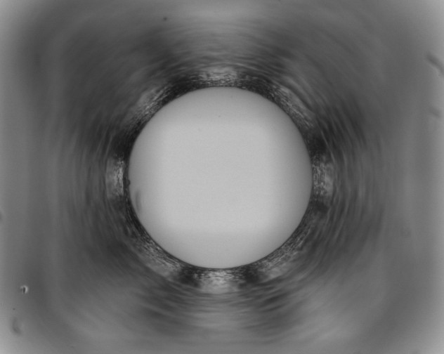 X0000096680717200802191352