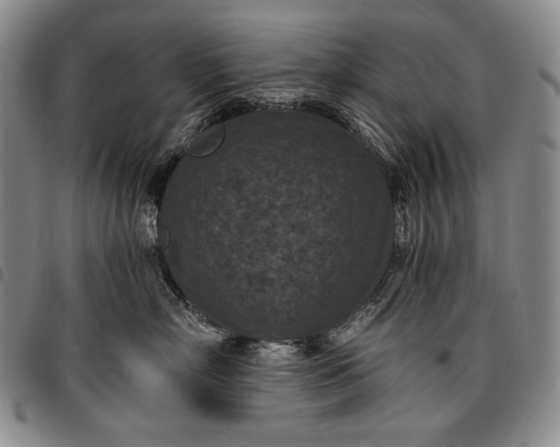 X0000096680718200802191352