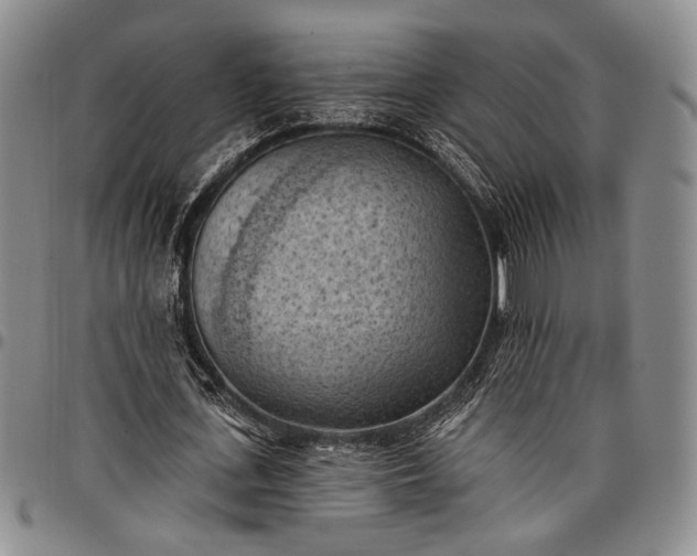 X0000096680723200802191352