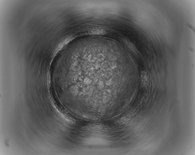 X0000096680726200802191352