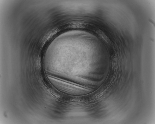 X0000096680727200802191352