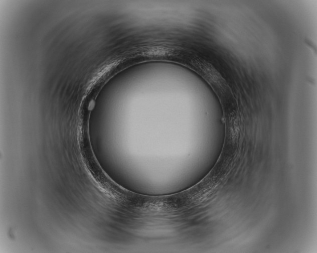 X0000096680728200802191352