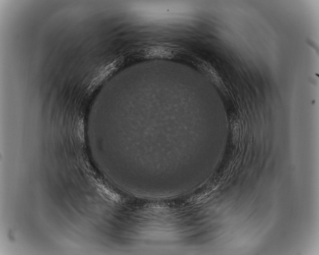 X0000096680729200802191352