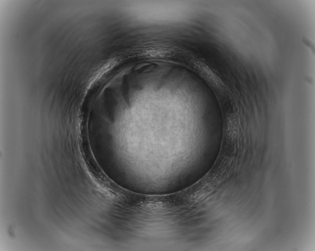 X0000096680730200802191352