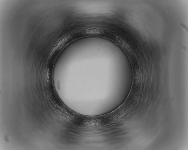 X0000096680731200802191352