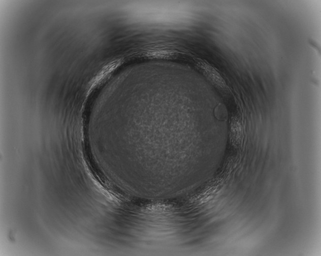 X0000096680734200802191352