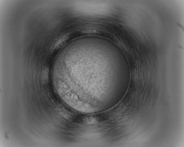 X0000096680735200802191352