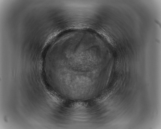 X0000096680736200802191352
