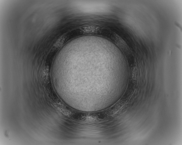 X0000096680737200802191352