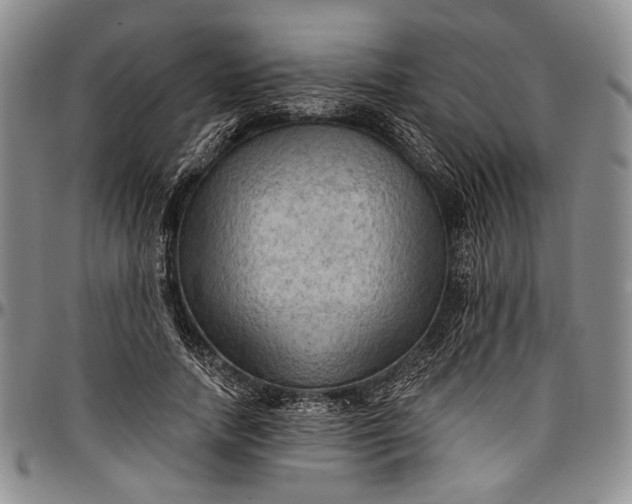 X0000096680738200802191352