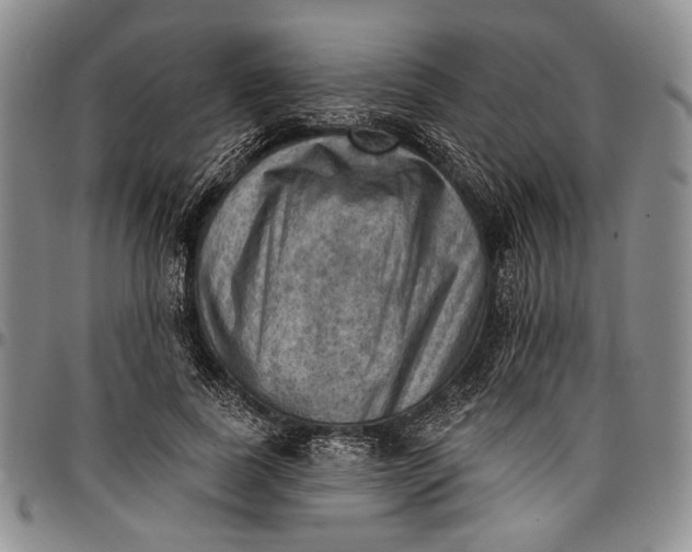 X0000096680739200802191352