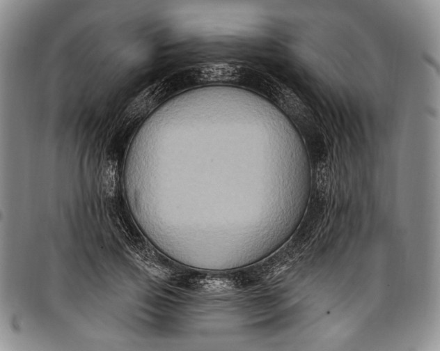 X0000096680741200802191352
