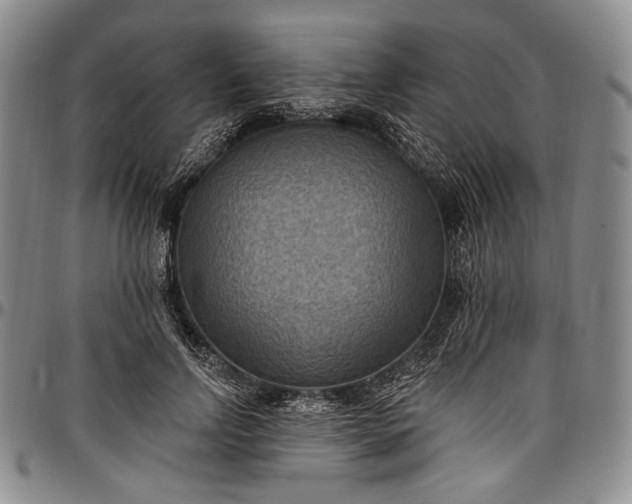 X0000096680742200802191352