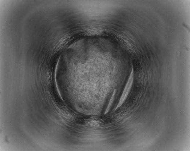 X0000096680743200802191352