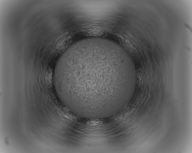 X0000096680745200802191352