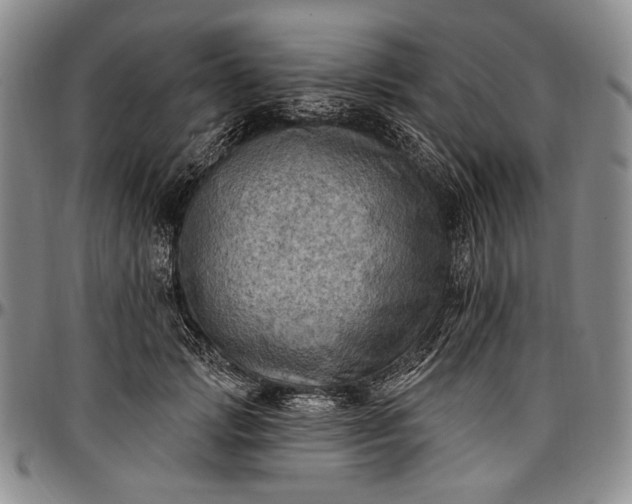 X0000096680749200802191352
