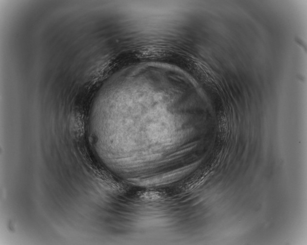 X0000096680751200802191352