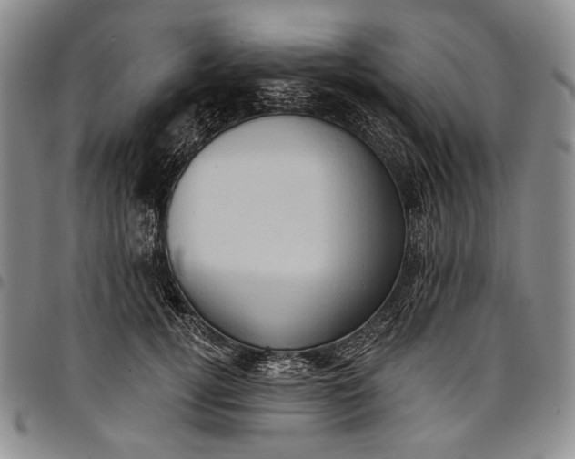X0000096680752200802191352