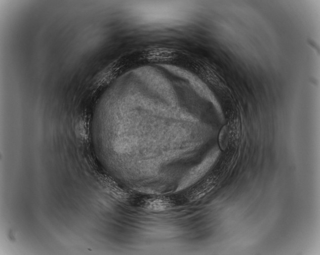 X0000096680755200802191352
