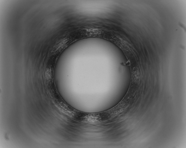 X0000096680756200802191352