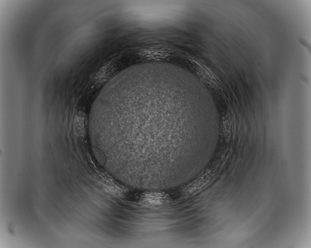 X0000096680757200802191352