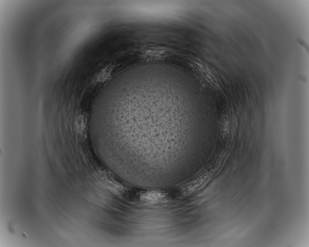 X0000096680759200802191352