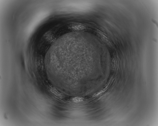 X0000096680762200802191352