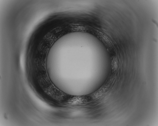 X0000096680764200802191352