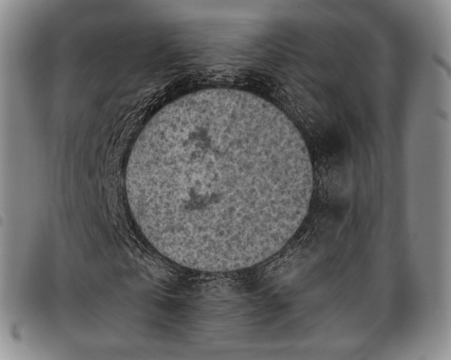 X0000096680769200802191352