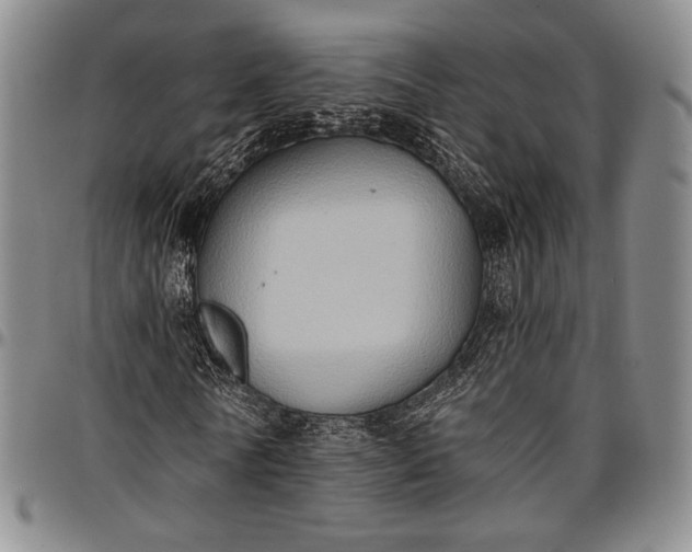 X0000096680770200802191352