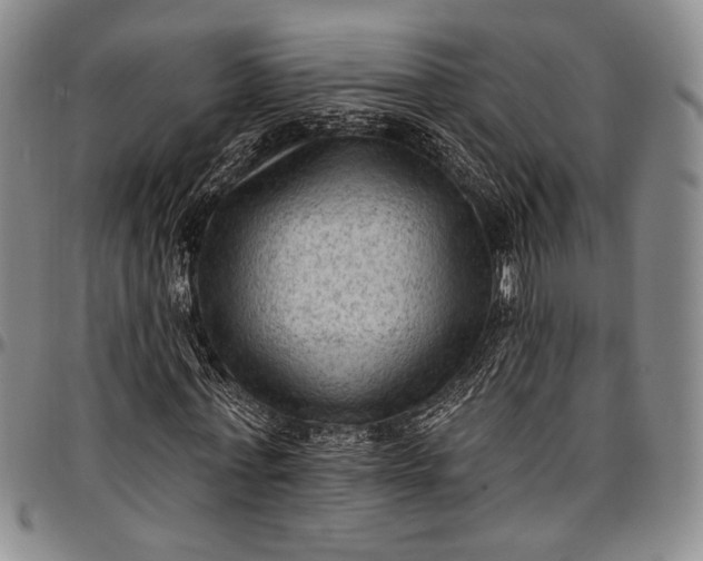 X0000096680771200802191352