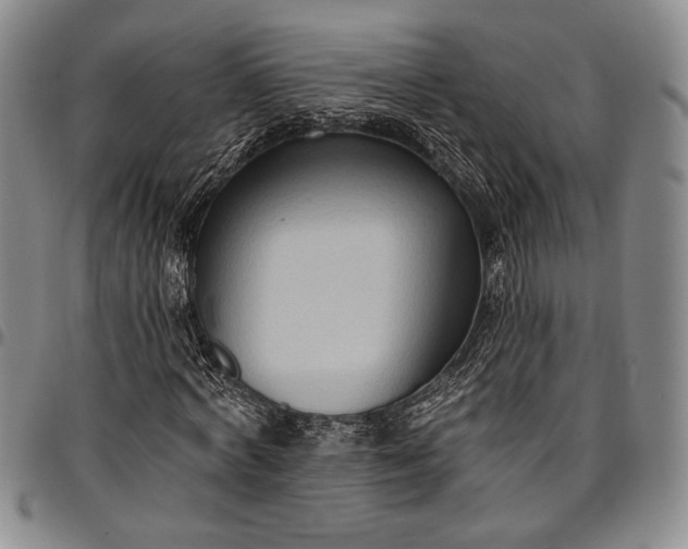 X0000096680772200802191351