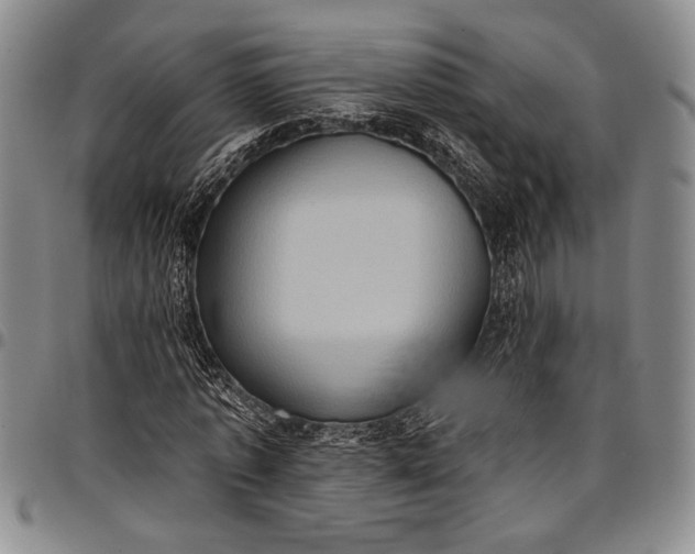 X0000096680773200802191351