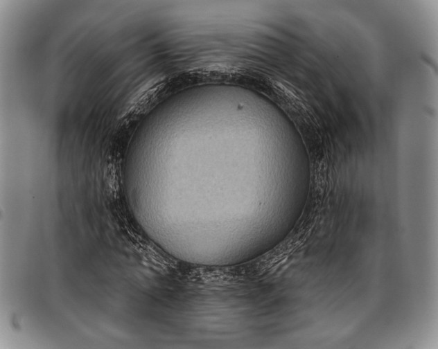 X0000096680774200802191351