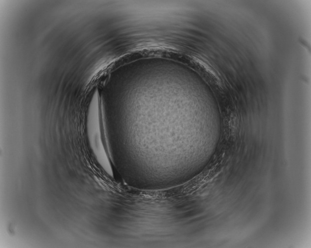 X0000096680775200802191351